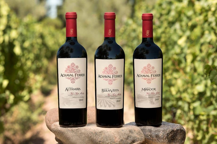 Terroir-Focused Tastings