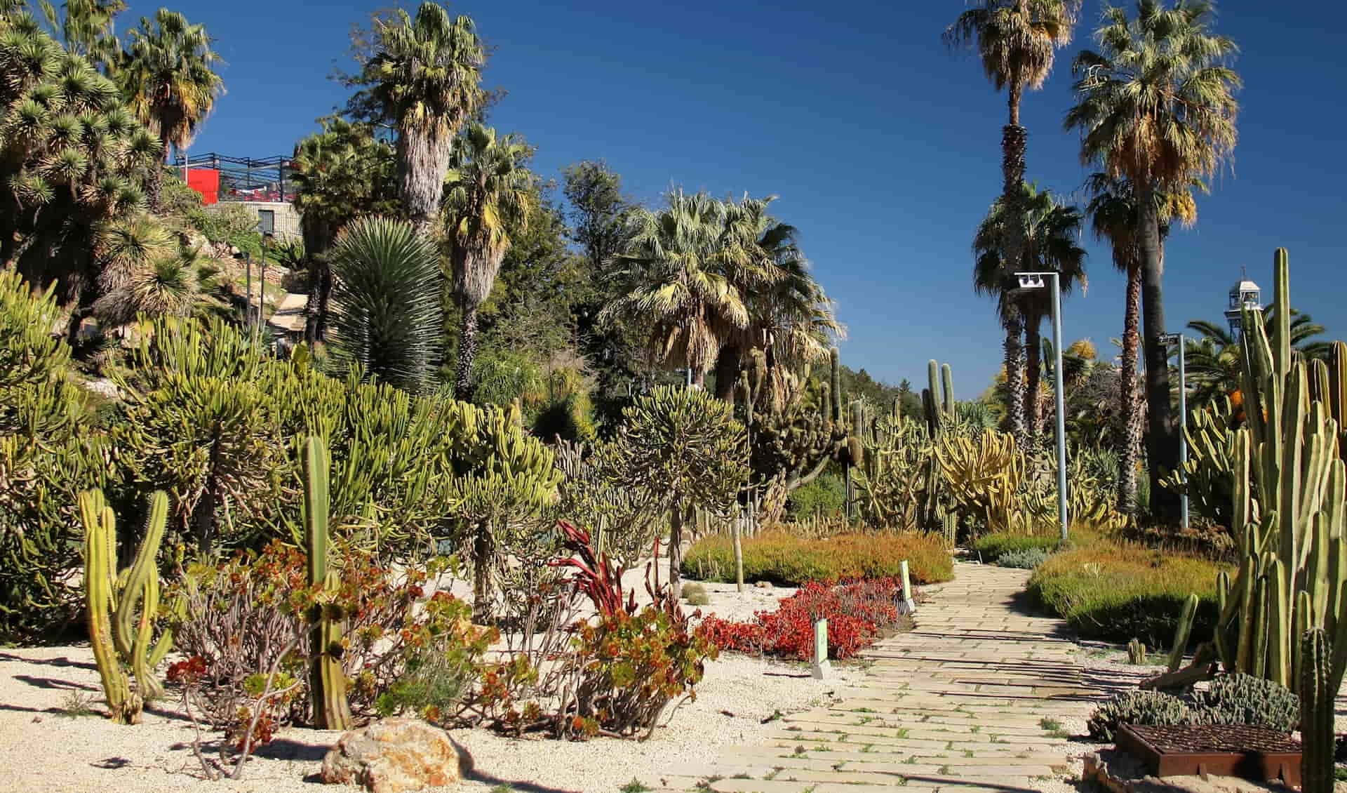 Tranquil Desert Escape