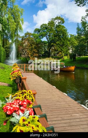 Lush Greenery & Flowers
