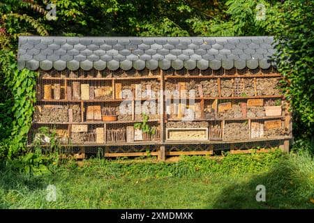 Bee House