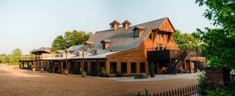 Live Music Performances