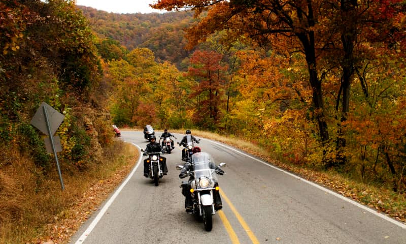 The Pig Trail Byway