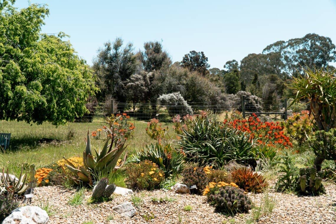 UC Santa Cruz Arboretum