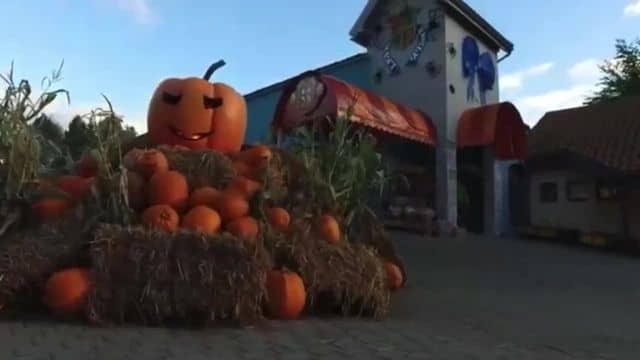 Halloween Spookiness