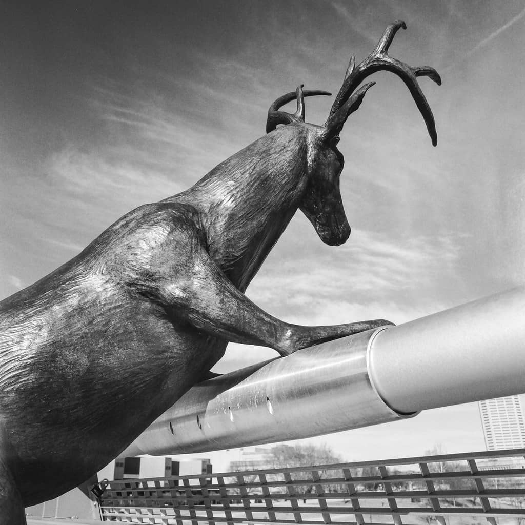 Artistic Deer Sculptures