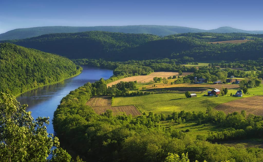 Susquehanna River Views
