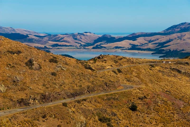 Lyttelton Harbour Lookout