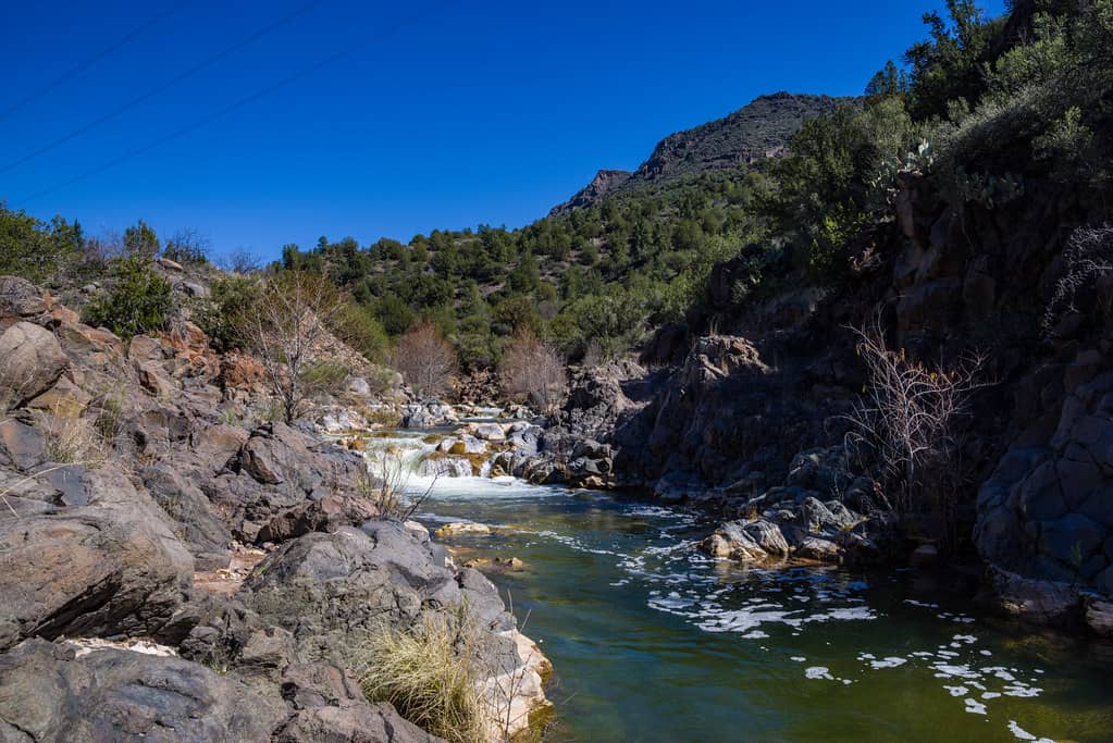 Refreshing River Swims