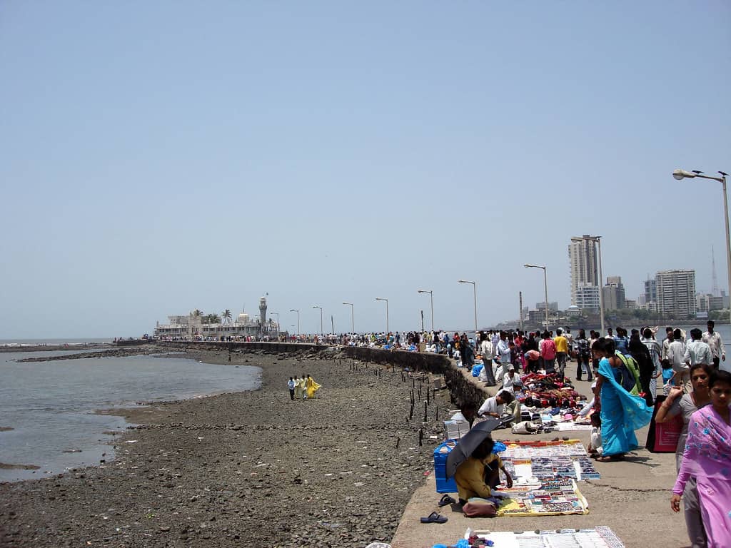 Seafront Views