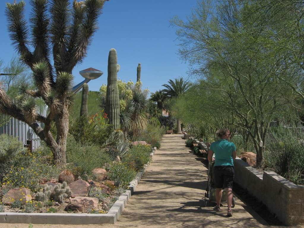 Butterfly Habitat