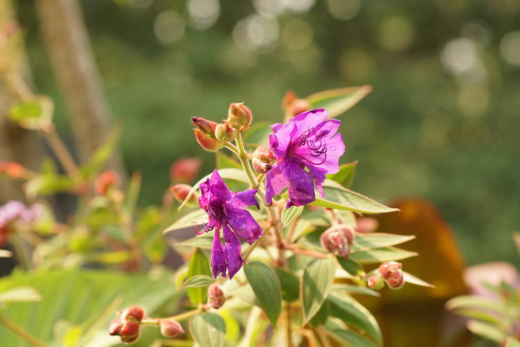 Seasonal Displays