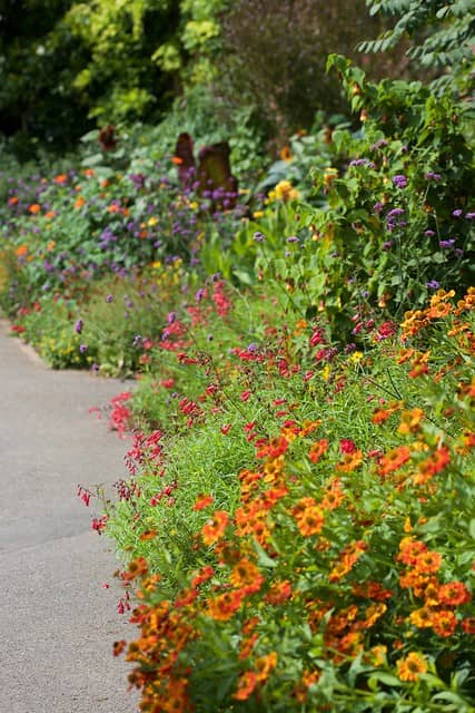 Herbaceous Borders