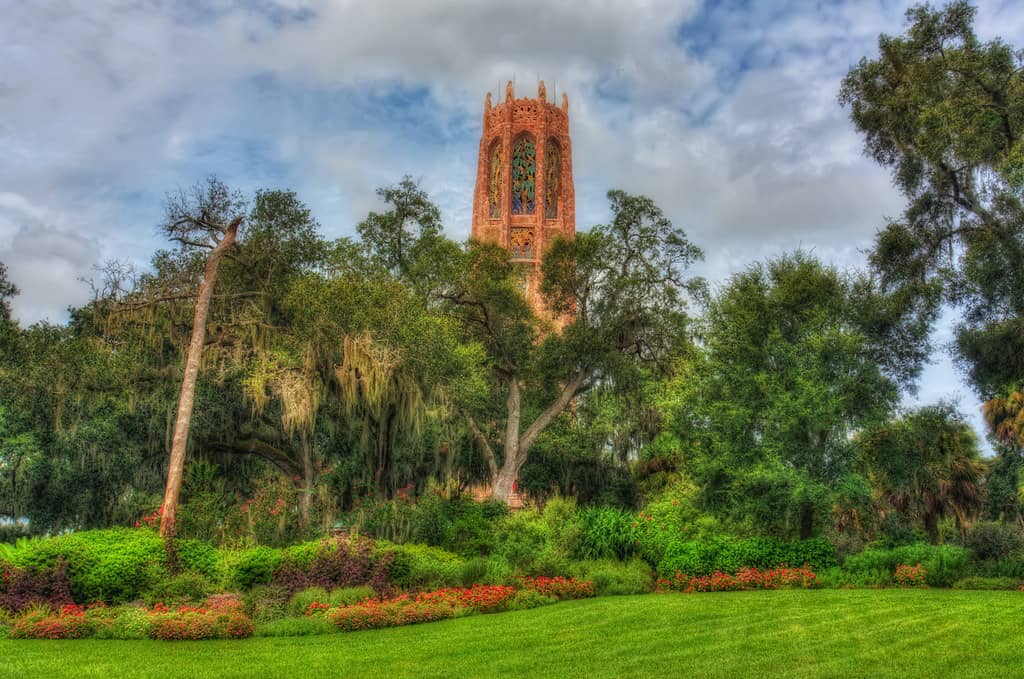 The Gardens
