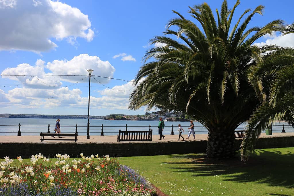 Coastal Views