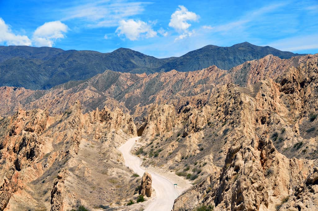 Mirador El Ventisquero