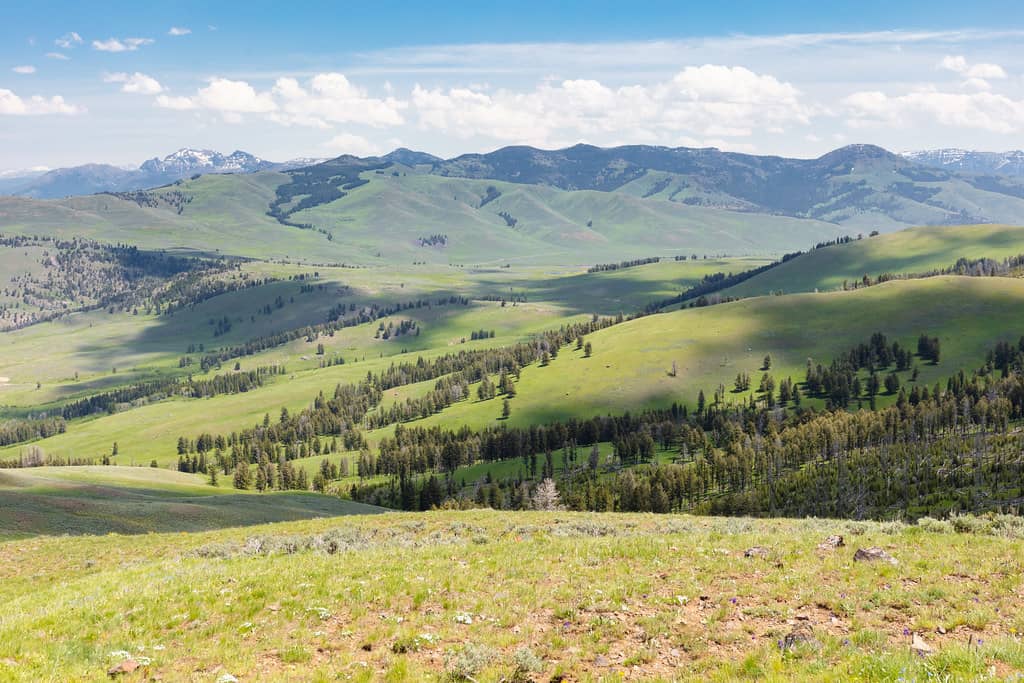 Scenic Vistas