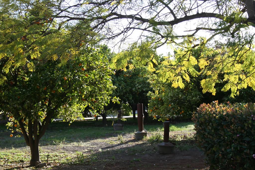 Historic Grounds & Gardens