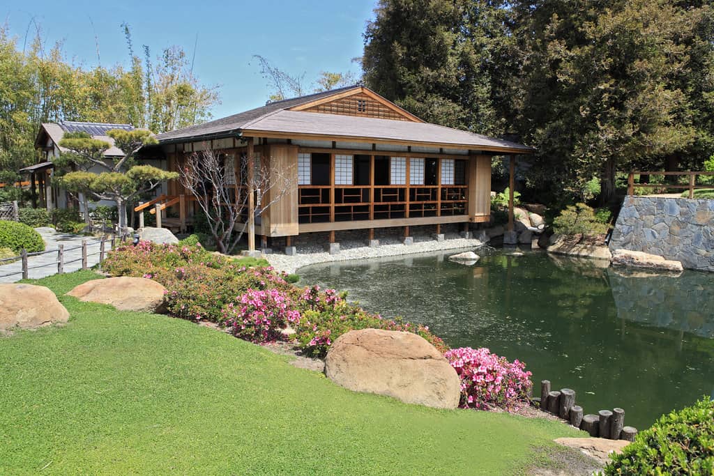 Buddhist Teahouse
