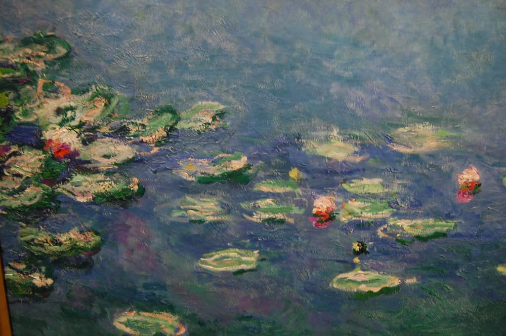Water Lily Pool