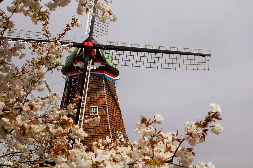 Windmill Island Gardens