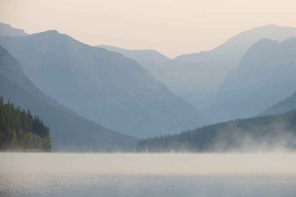 Serene Morning Mist