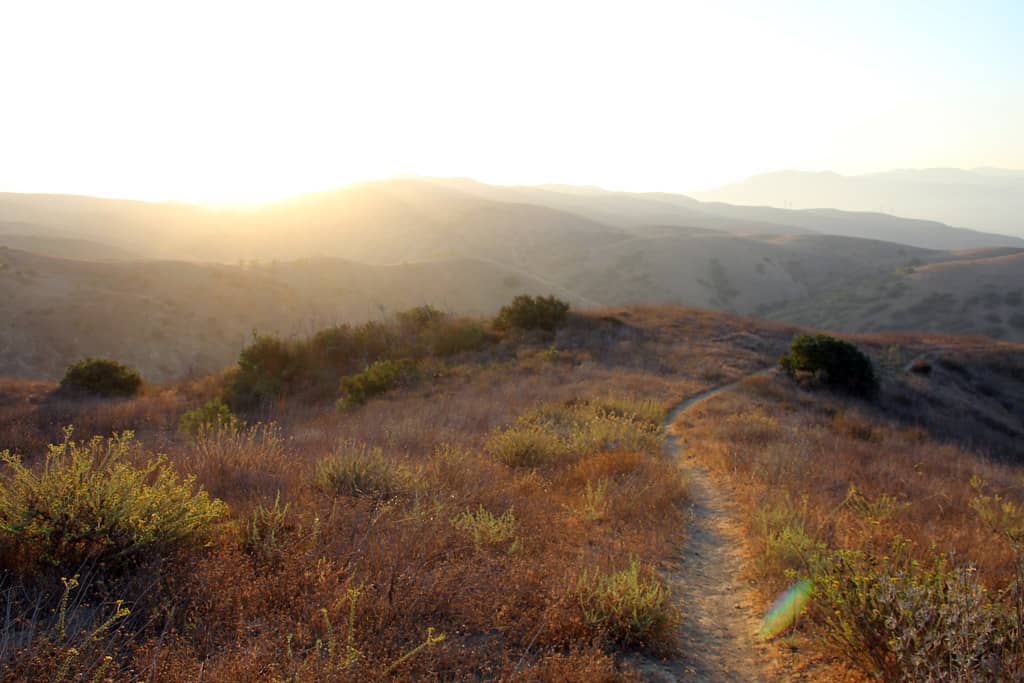 Extensive Trails