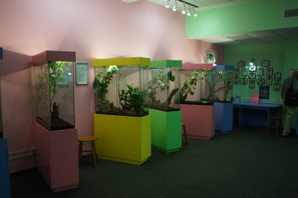 Educational Exhibits