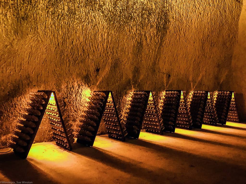 Champagne Tasting Experience