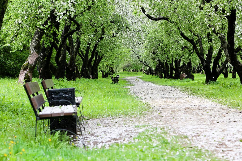 Kolomenskoye Park