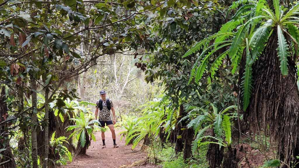 Scenic Walking Trails