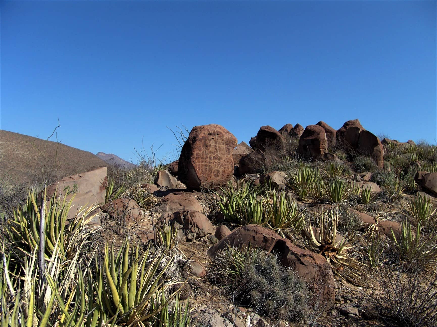 Desert Landscape