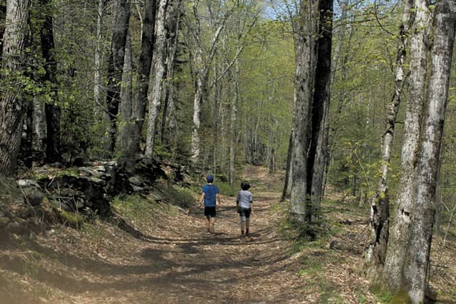 Universally Accessible Trail