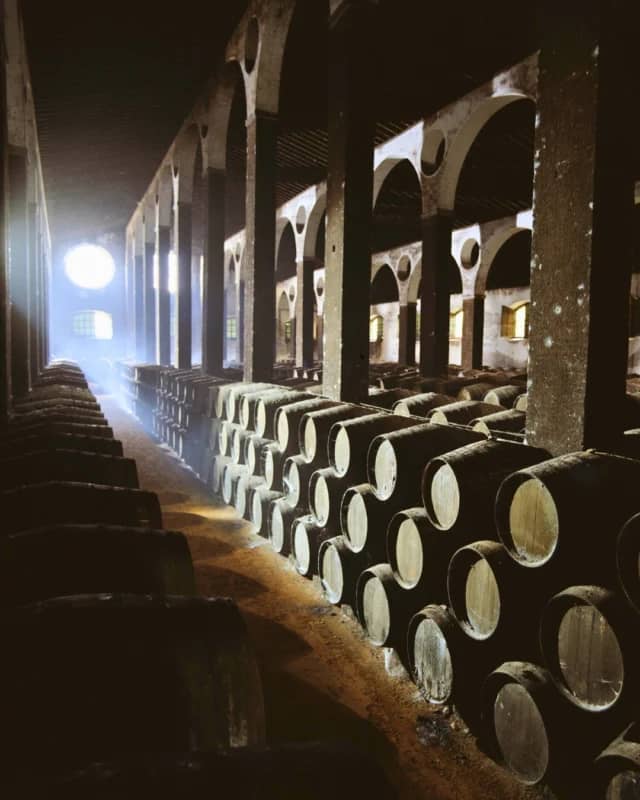 Bodegas