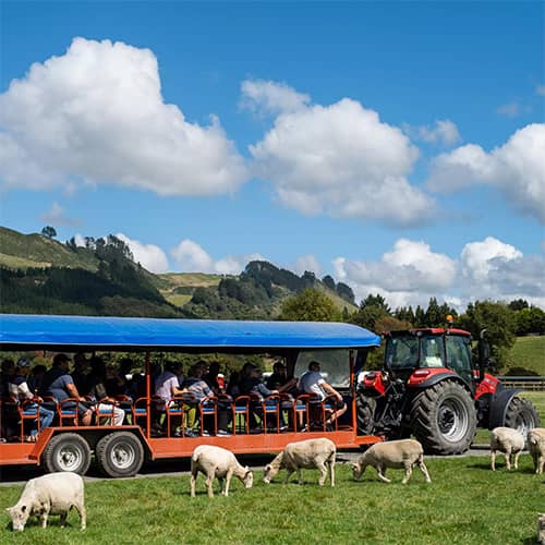 Interactive Farm Tour