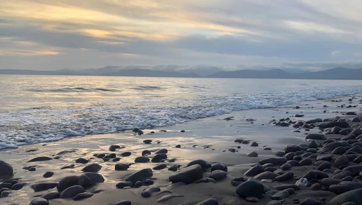 Highlights