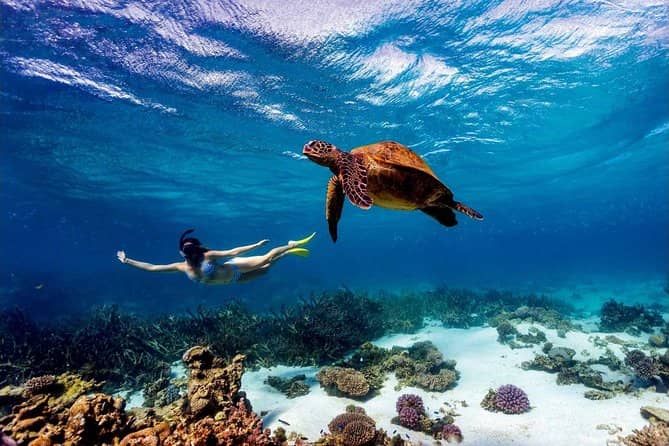 Snorkeling Adventures