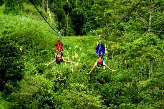 Ziplining Adventure
