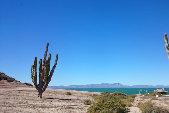 Museo de los Seris Kino Viejo