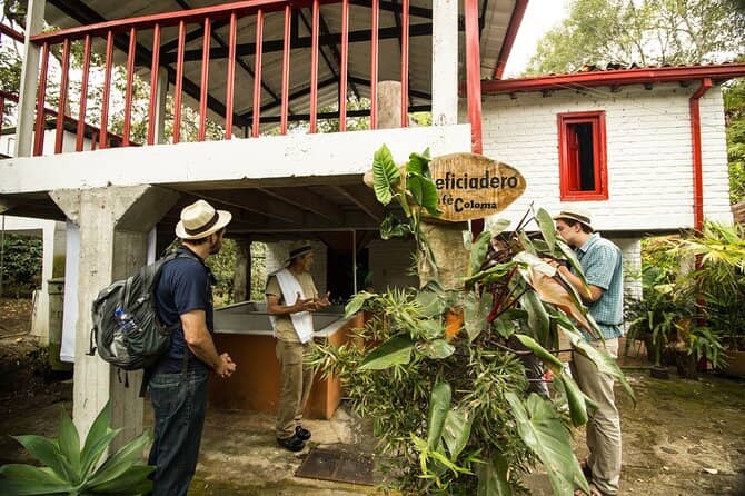 Coffee Production Tour