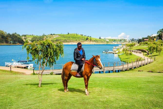 Horse Riding Experience