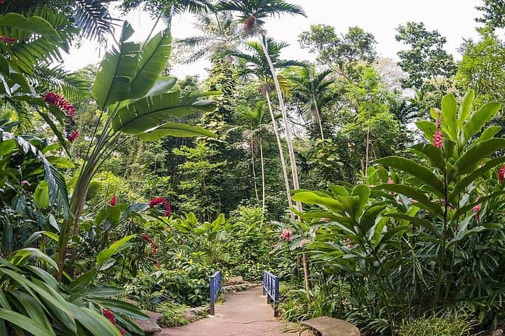 Lush Botanical Gardens