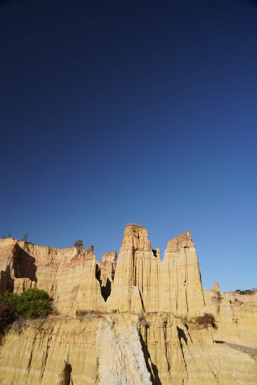 Ancient Skeletons Display