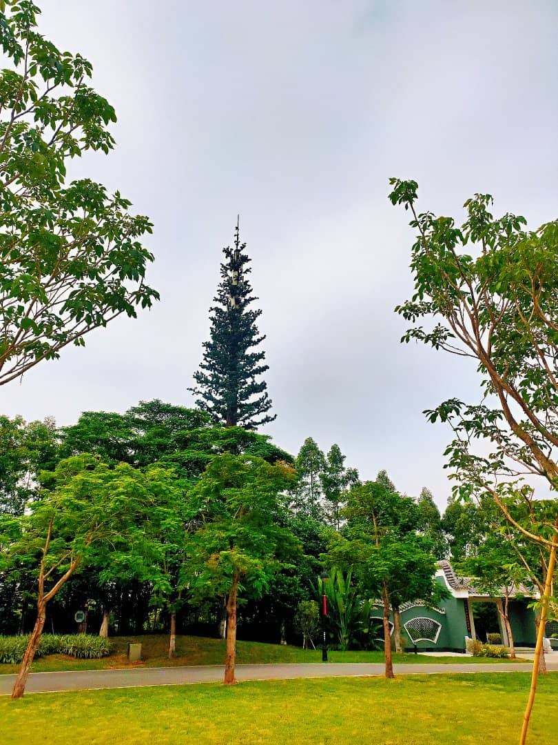 Urban Oasis Ecosystem