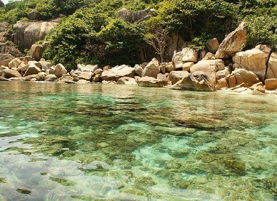Crystal Clear Waters