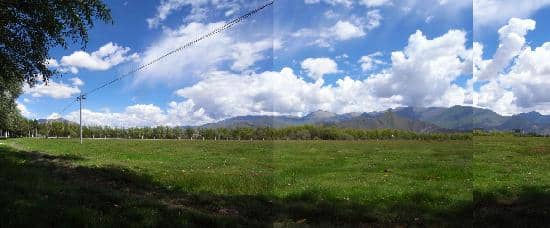 Migratory Bird Sanctuary