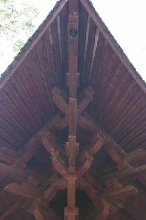 Vertical photo