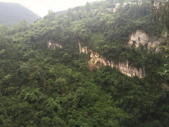 Fresh Air and Greenery