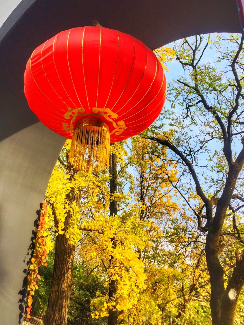 温暖的秋日