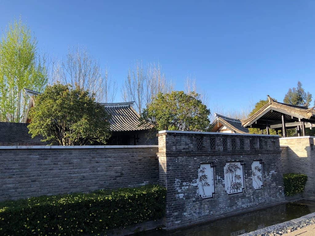 Asian Street Food Bites