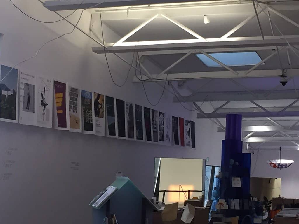 Tranquil Forest Park Setting